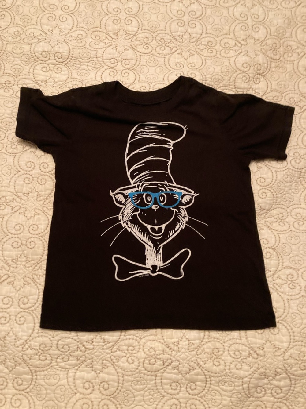 Cat in the hat
